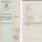 академическая справка